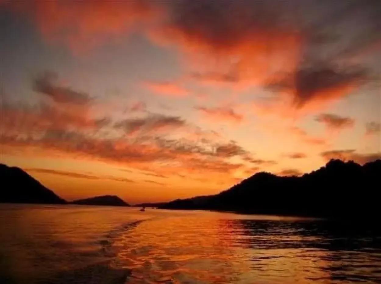 Fröhliche Partynächte