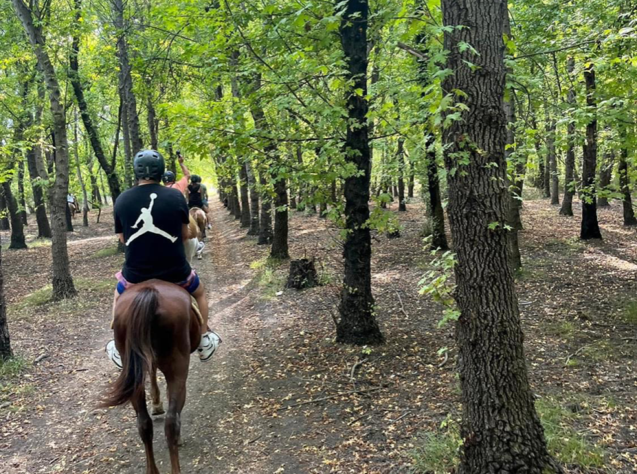 Galoppierende Seepferdchen