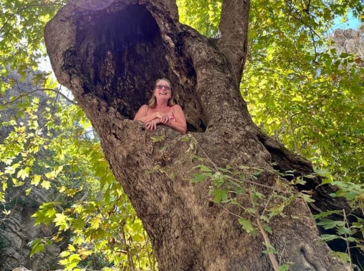 Kühler Tag Im Himmel