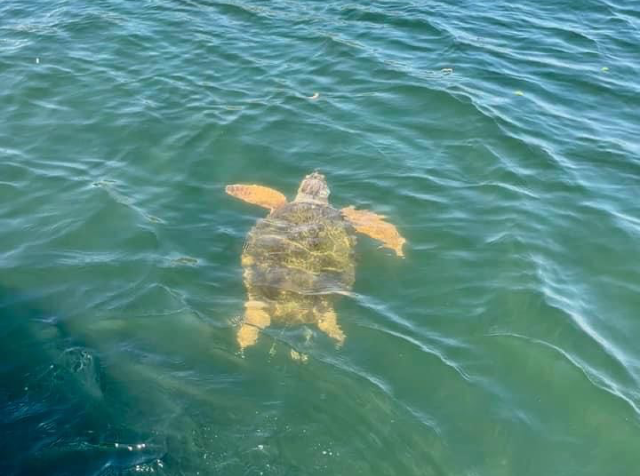 Oceans Of Love Gourmet-Frühstück