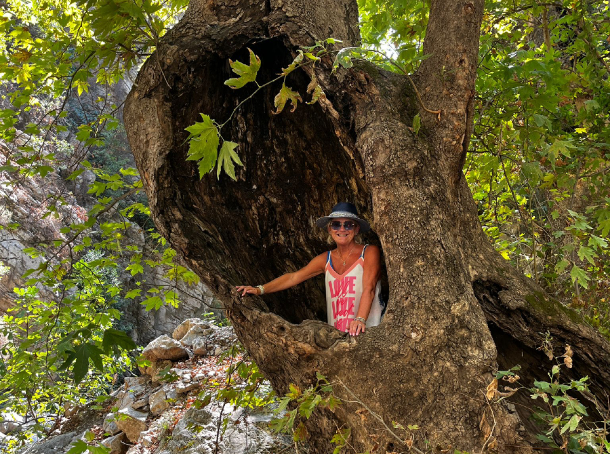 Kühler Tag Im Himmel