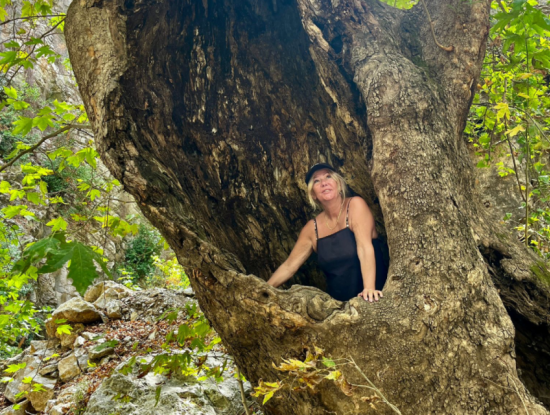 Kühler Tag Im Himmel