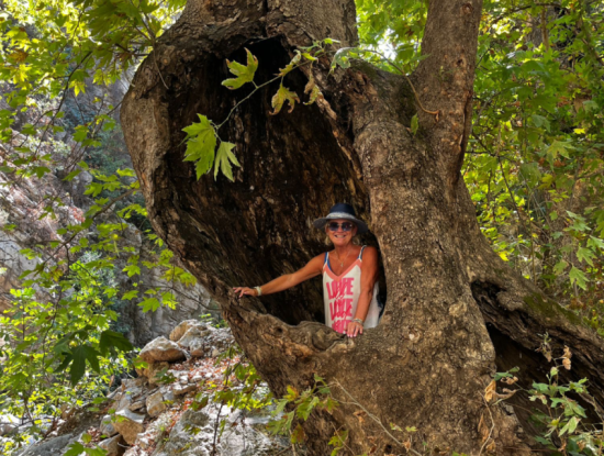 Kühler Tag Im Himmel