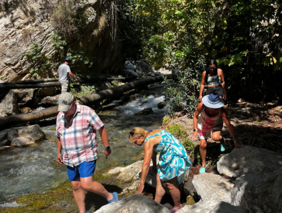 Kühler Tag Im Himmel