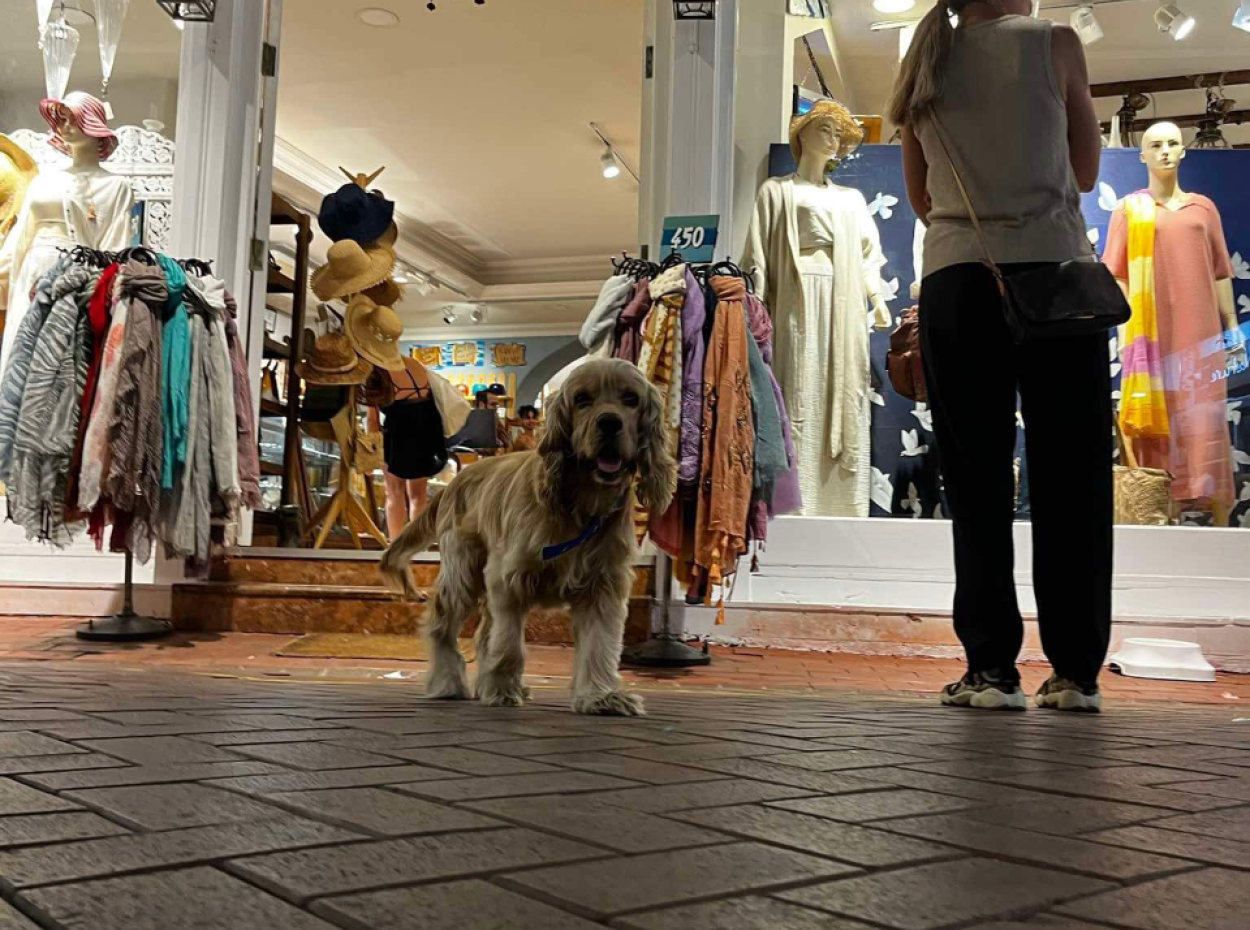 Step Back In Time With Sun & Sea & Ghosts & Wine