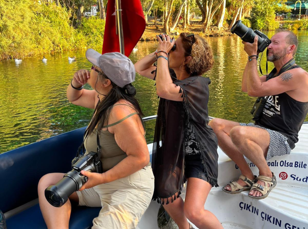 Nature’s Symphony: Birdwatching At Dawn