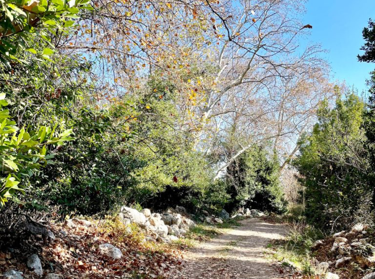 Dreamy Trekking In Lycian Way