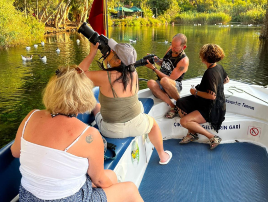 Nature’s Symphony: Birdwatching At Dawn