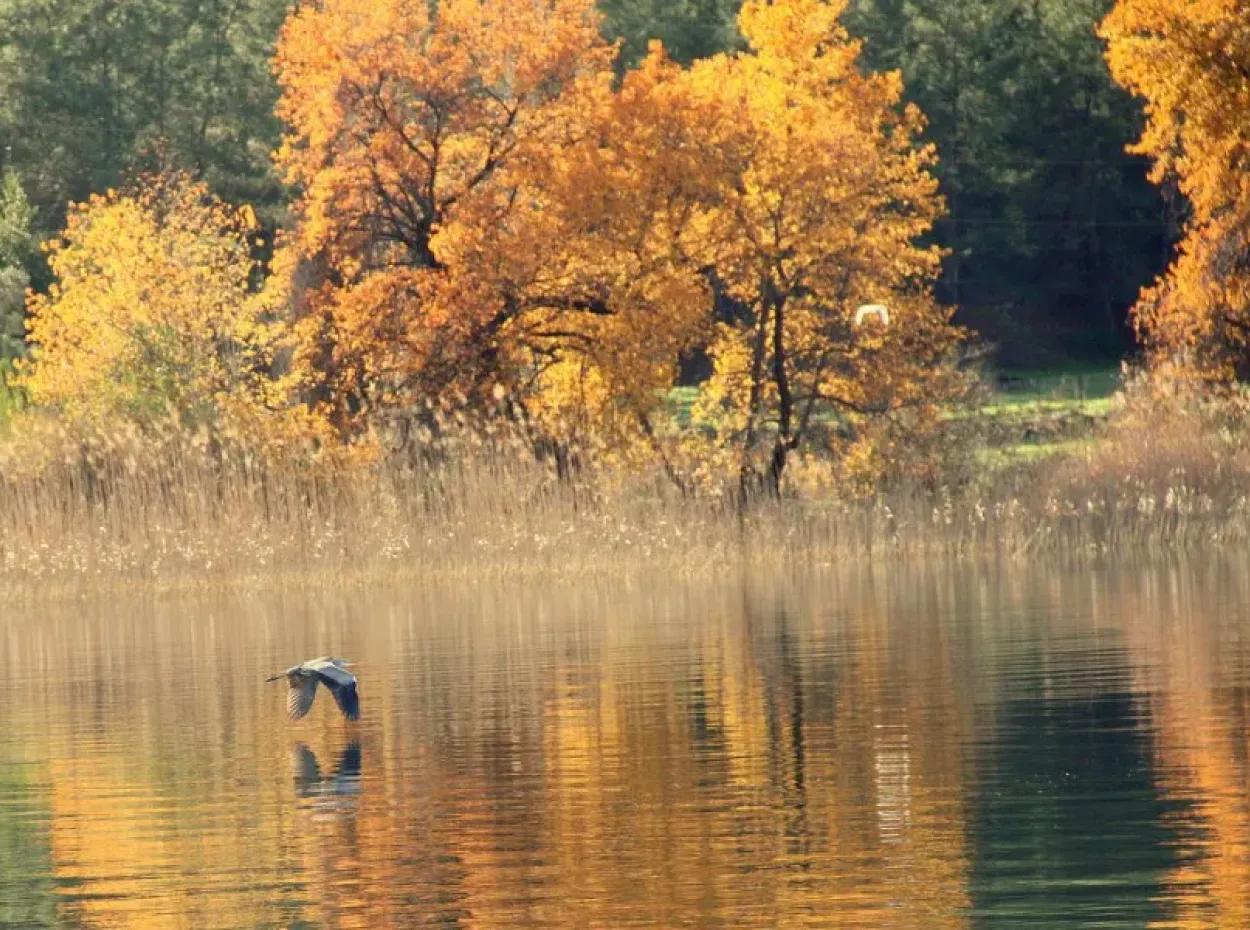 Dalyan Fotoğrafları