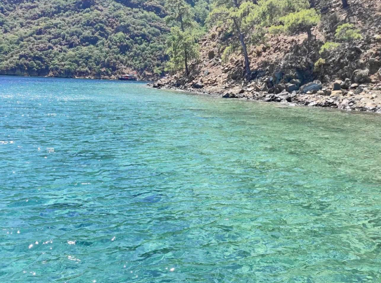 Geleneksel Dalyan Tekne Turu