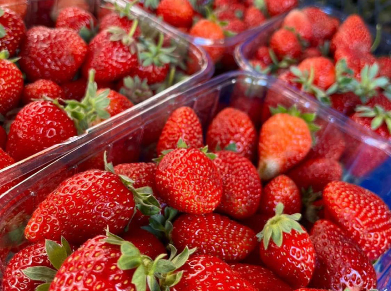 Bir Üçlü İkramlar