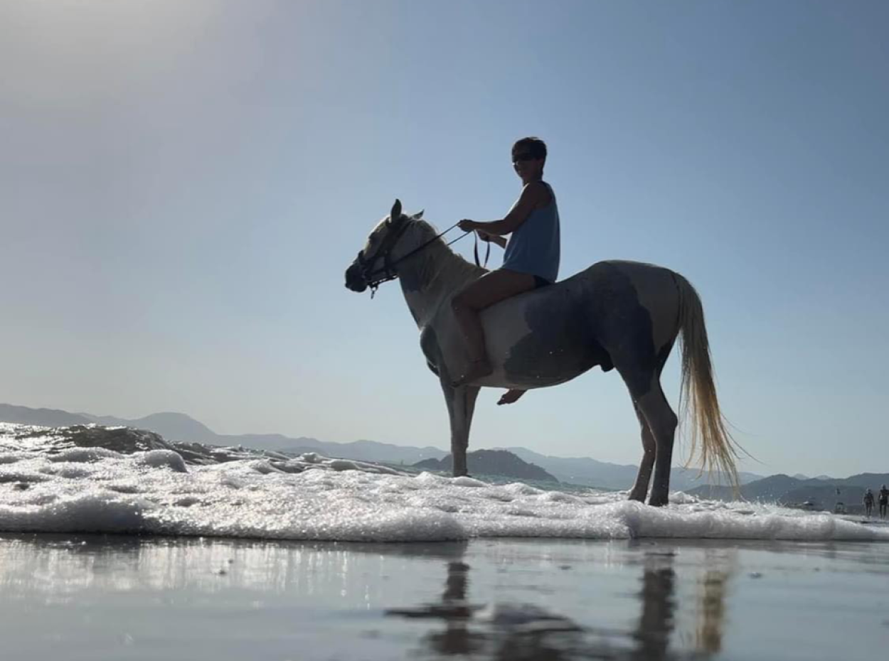Dörtnala Giden Deniz Atları
