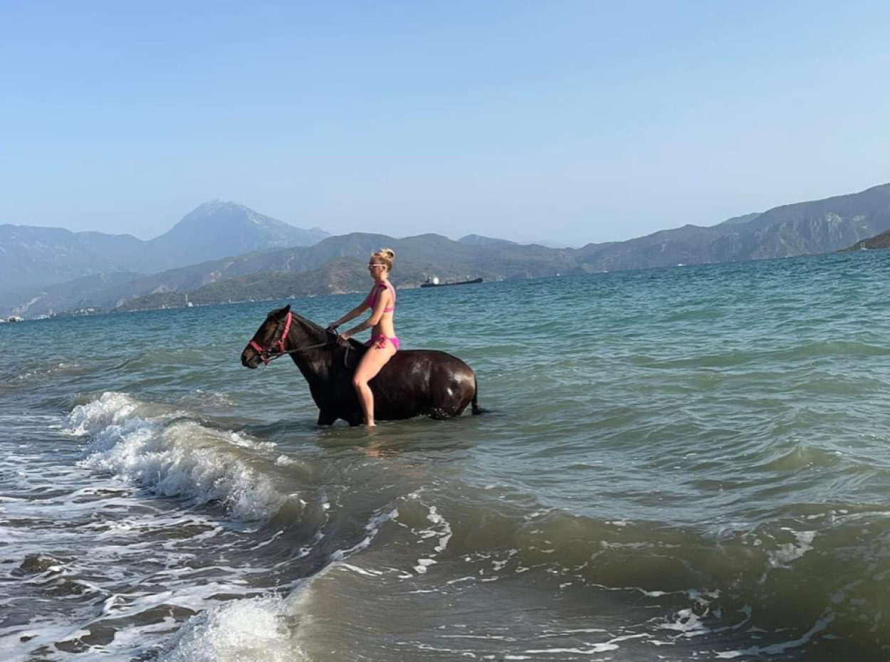 Dörtnala Giden Deniz Atları