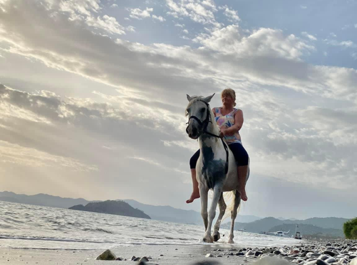 Dörtnala Giden Deniz Atları