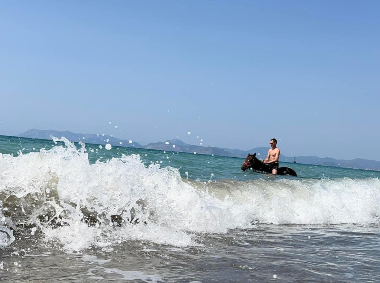 Dörtnala Giden Deniz Atları