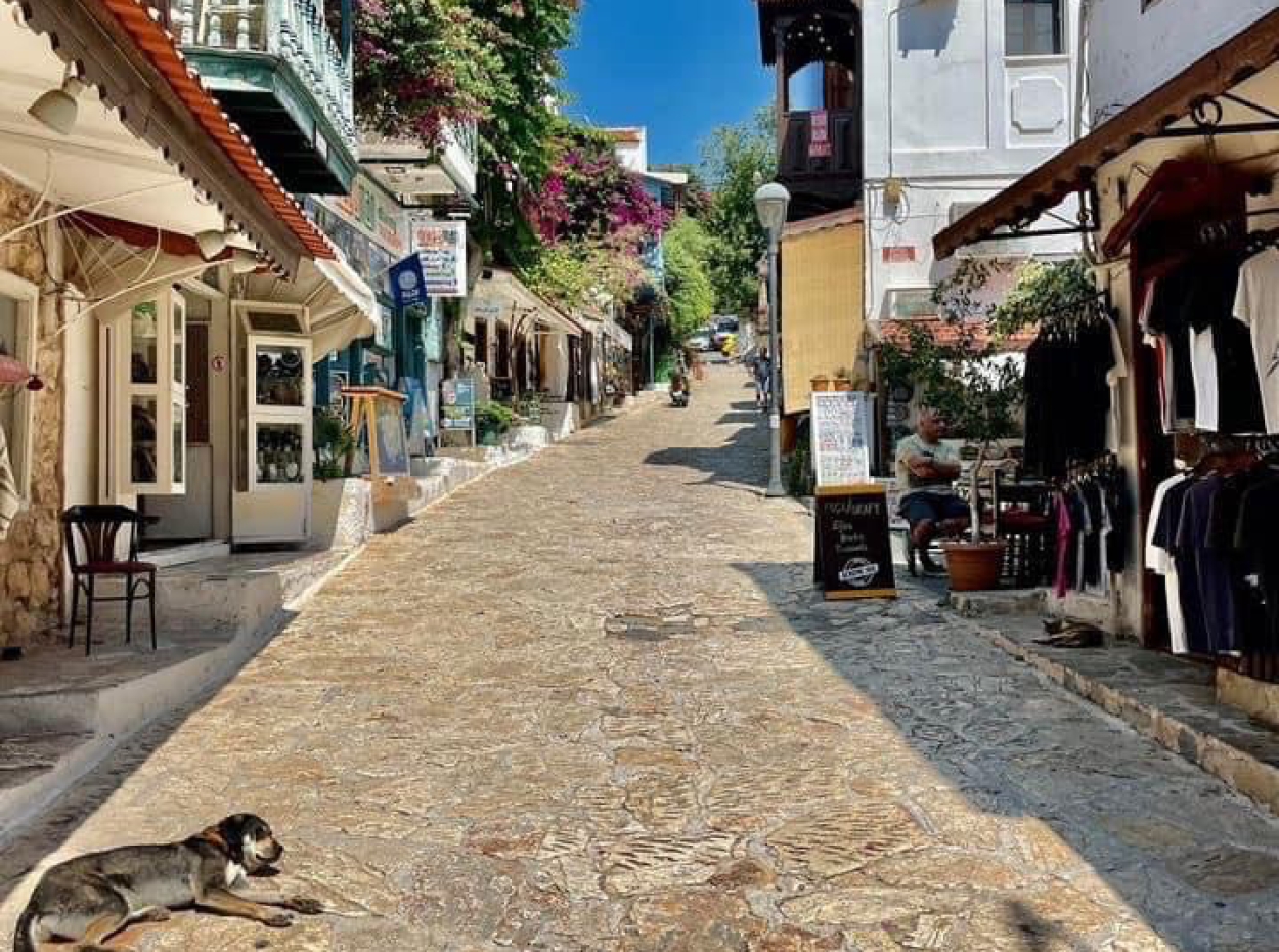 Uyum İçinde Kültürler