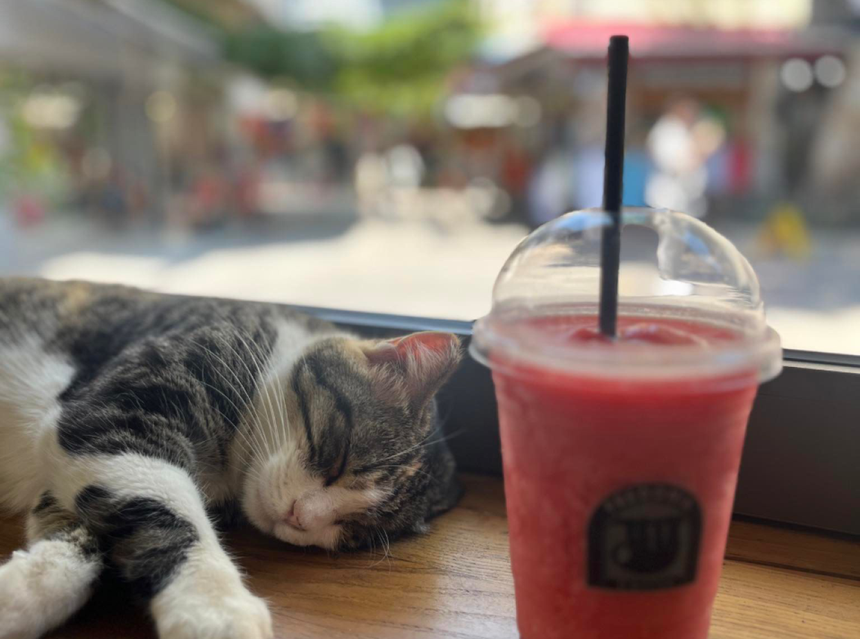 Ege'nin Gizli Mücevherleri