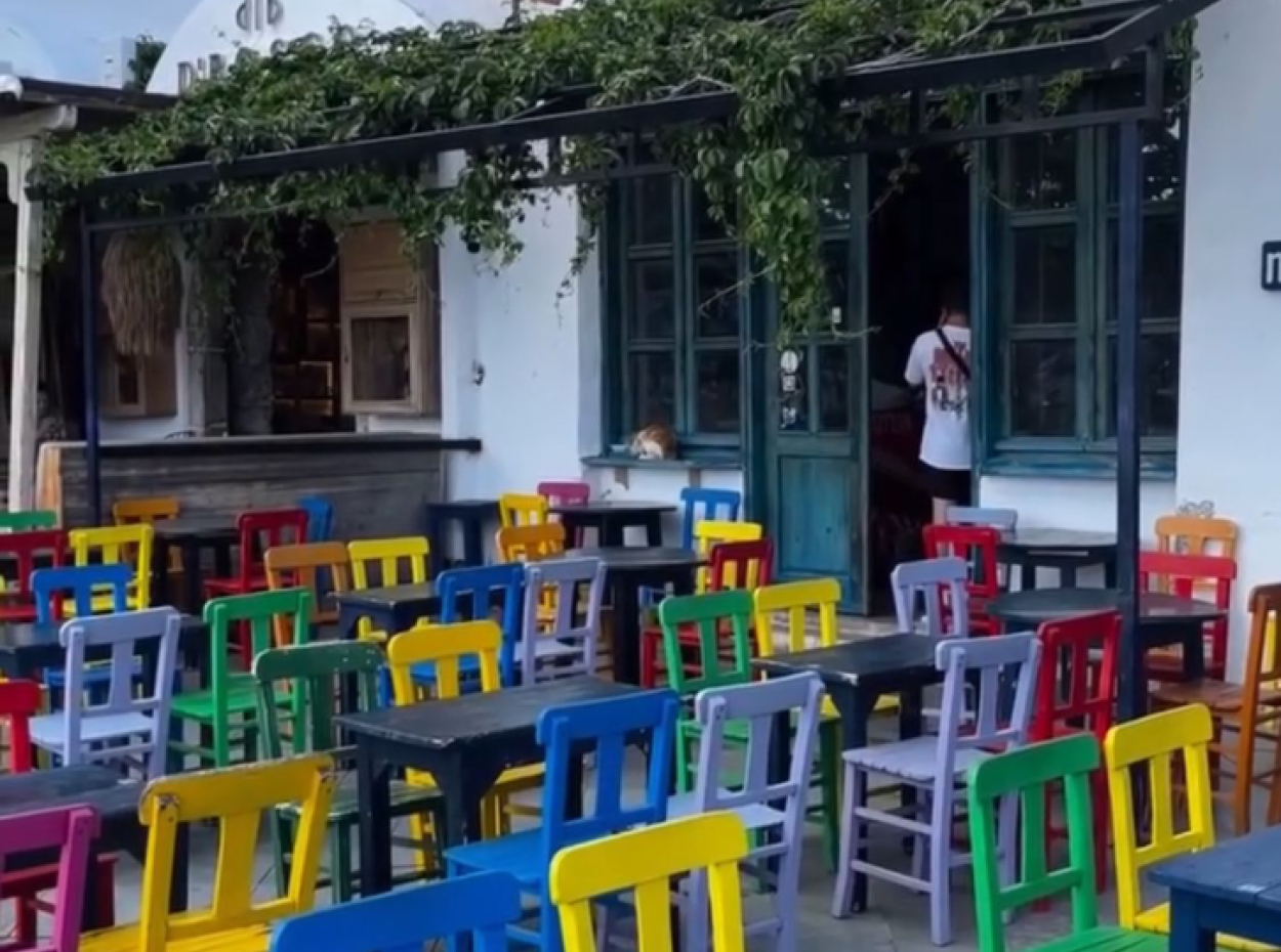 Uyum İçinde Kültürler