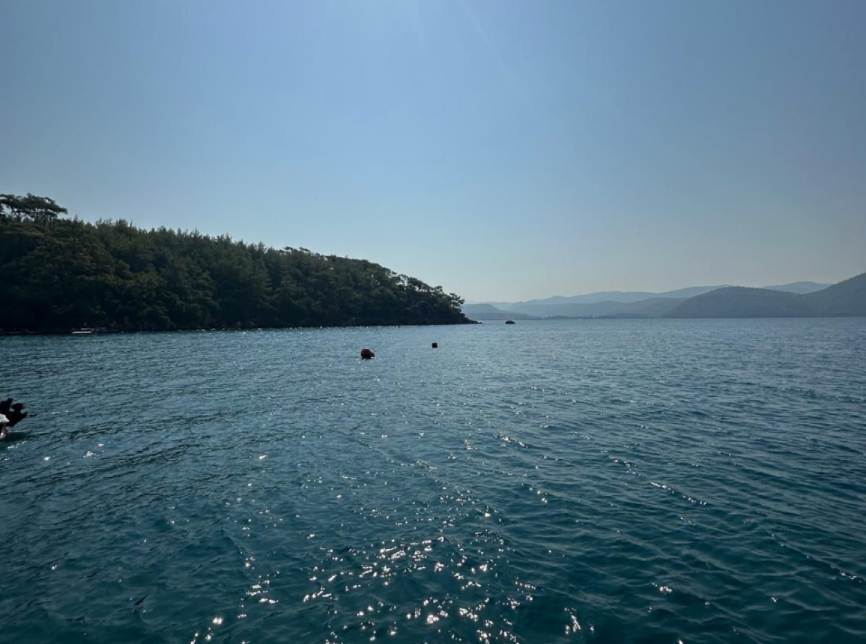 İkisinin De En İyisi