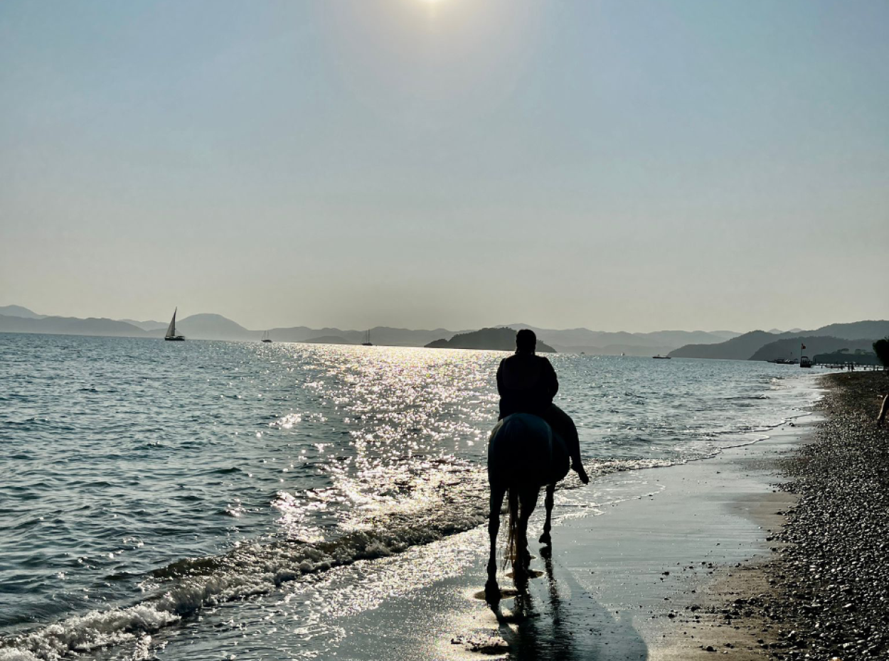 Dörtnala Giden Deniz Atları