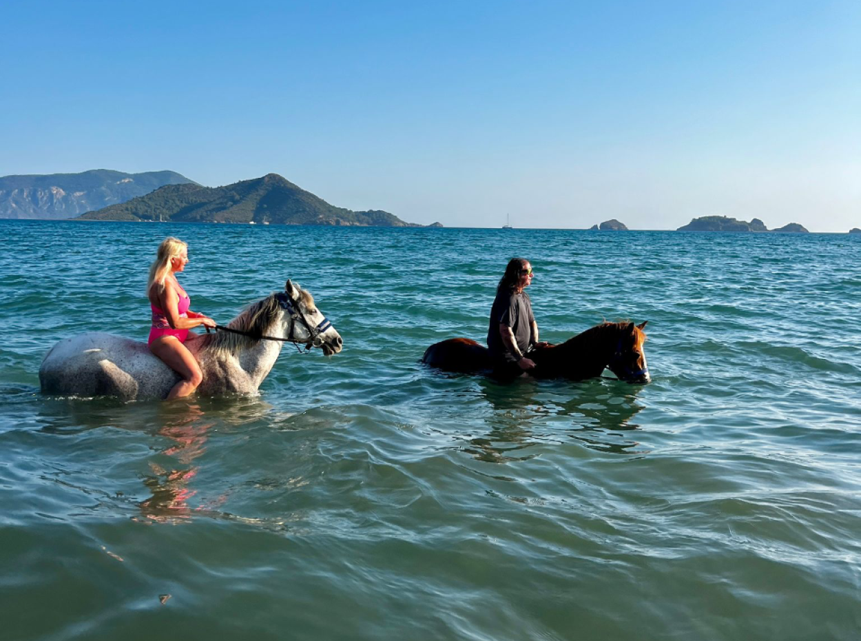 Dörtnala Giden Deniz Atları