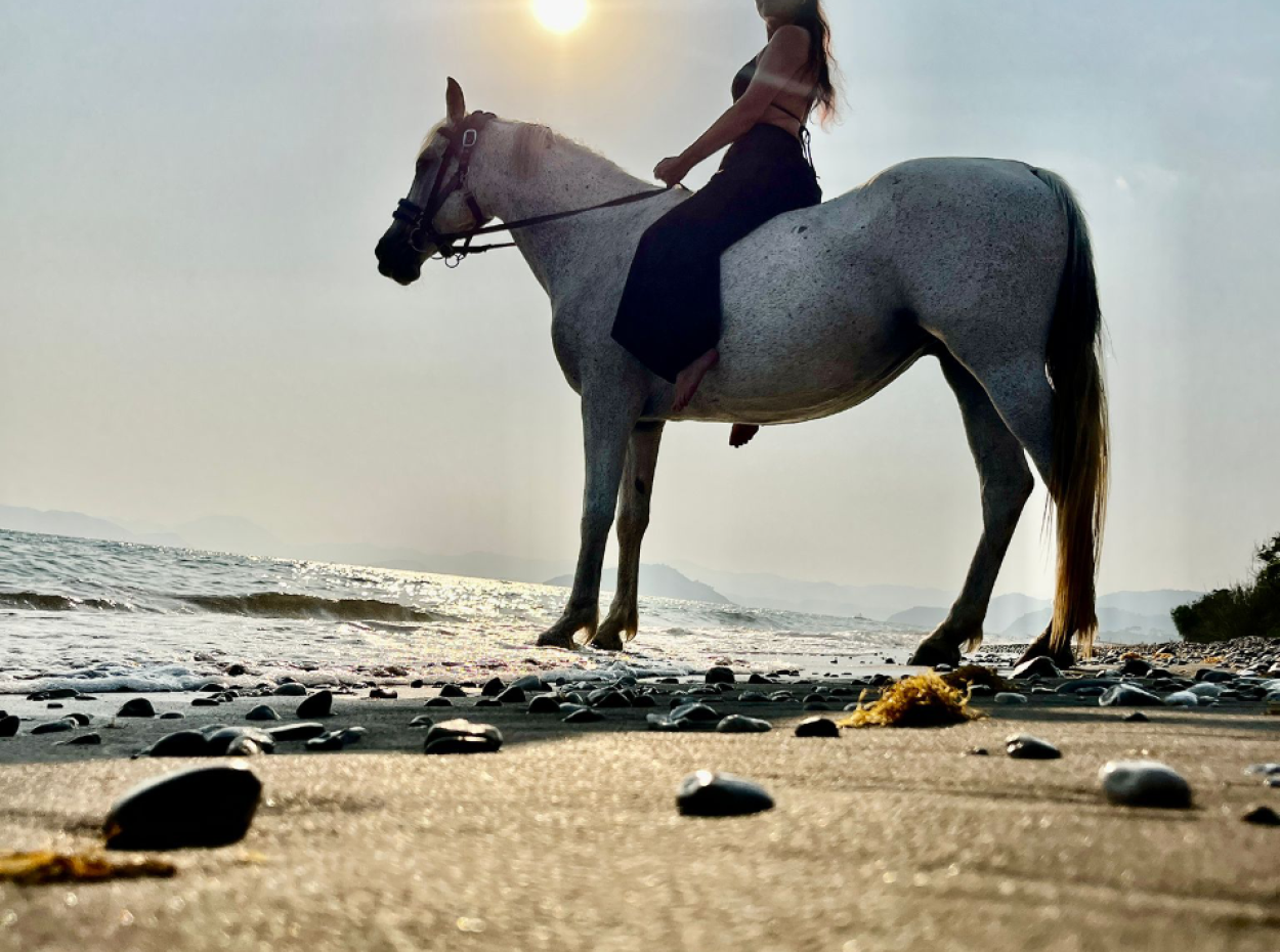 Dörtnala Giden Deniz Atları