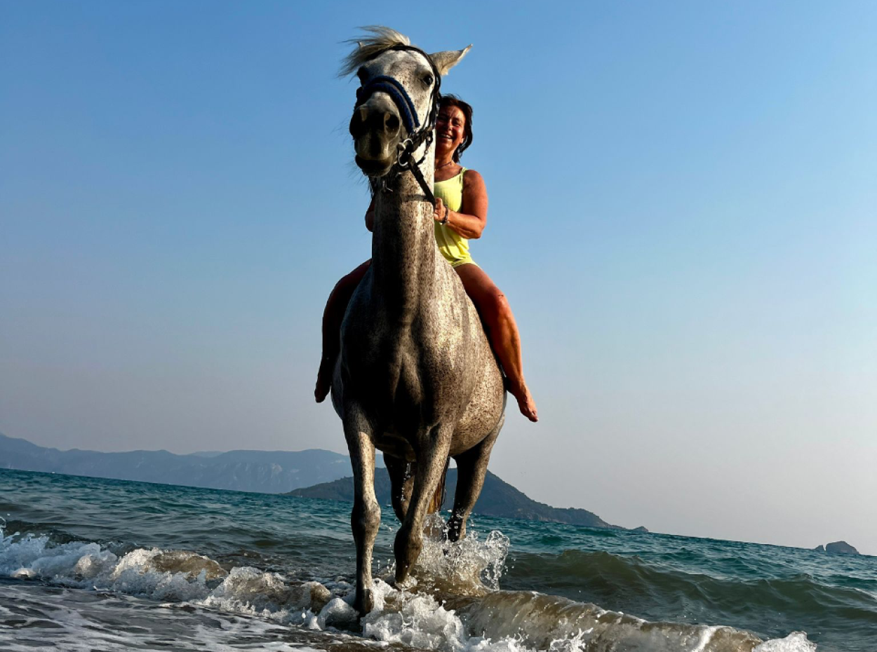 Dörtnala Giden Deniz Atları