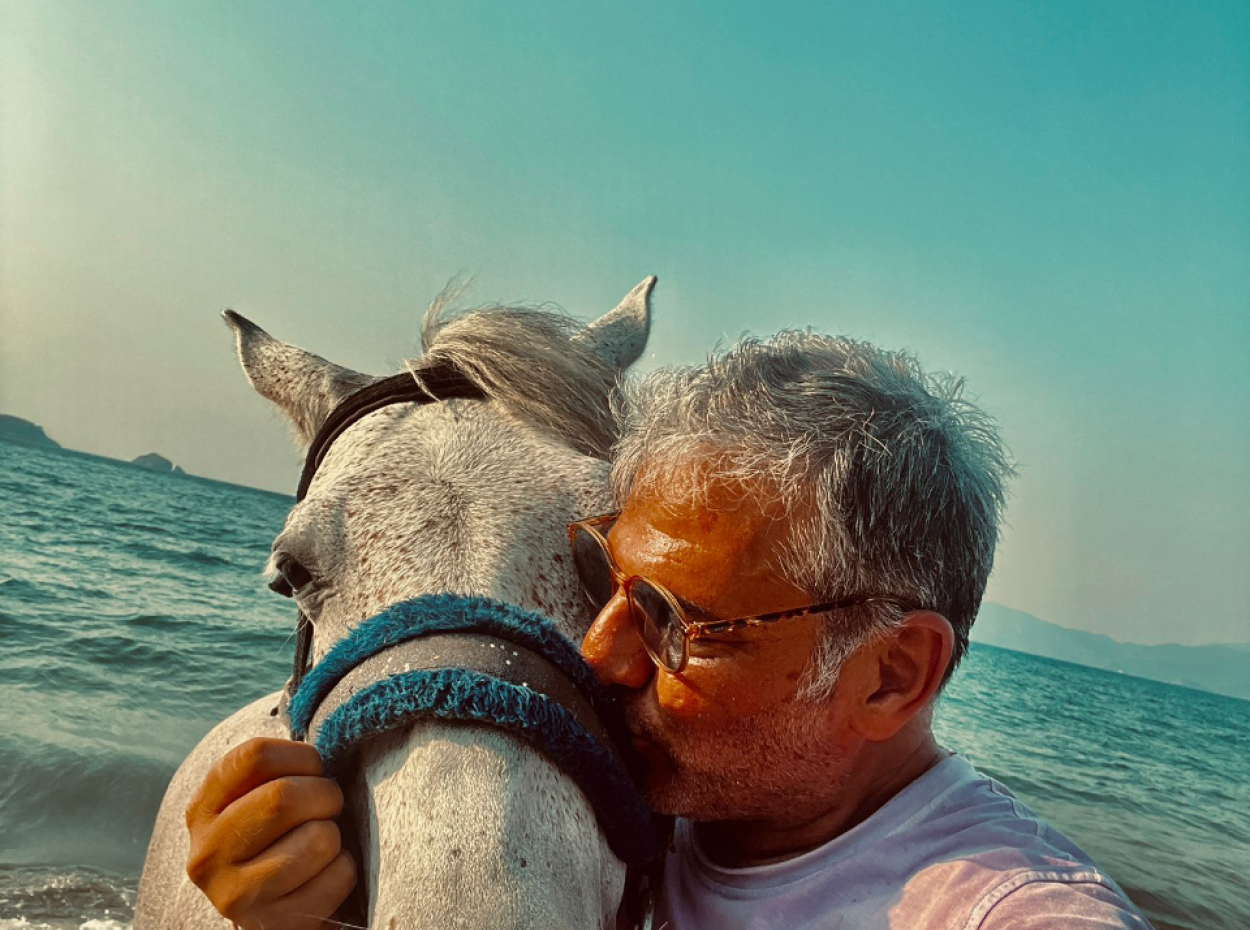 Dörtnala Giden Deniz Atları