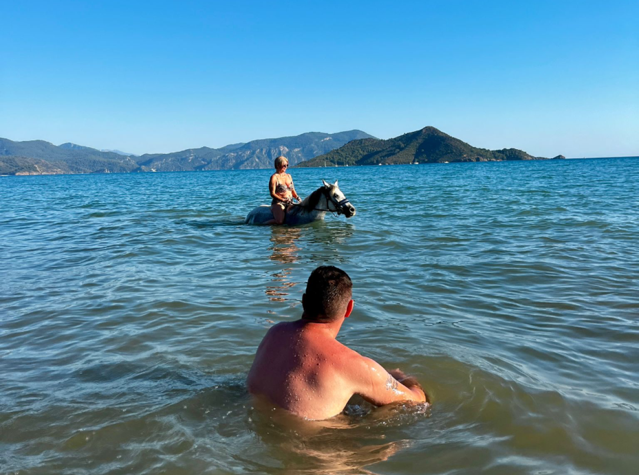 Dörtnala Giden Deniz Atları