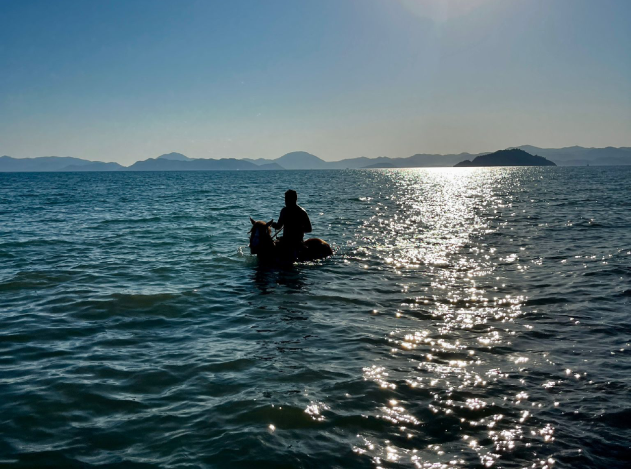 Dörtnala Giden Deniz Atları