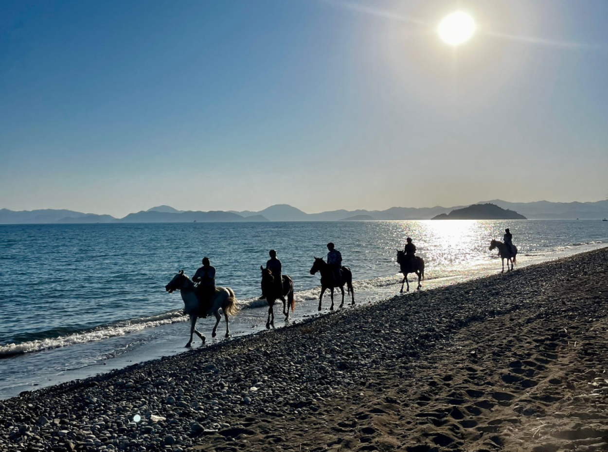 Dörtnala Giden Deniz Atları