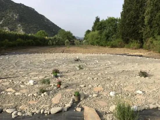 Dalyan Spectrum Otel. Dalyan Otel Fiyatı. Dalyan Hotel İletişim