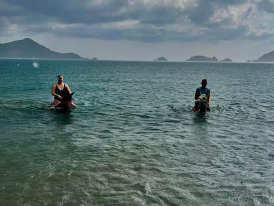 Dörtnala Giden Deniz Atları
