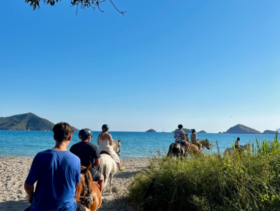 Dörtnala Giden Deniz Atları