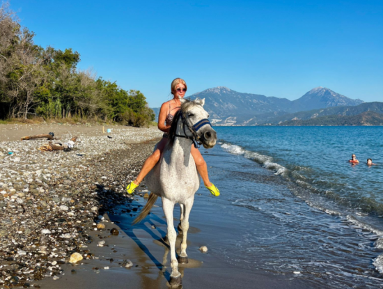 Dörtnala Giden Deniz Atları