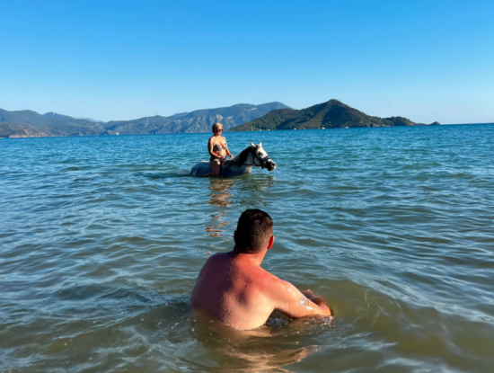 Dörtnala Giden Deniz Atları