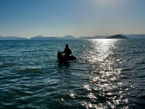 Dörtnala Giden Deniz Atları
