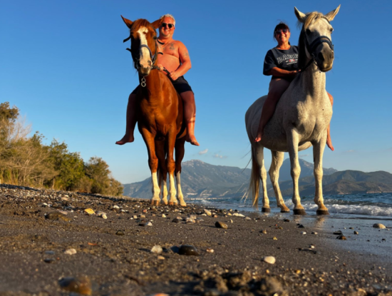 Dörtnala Giden Deniz Atları