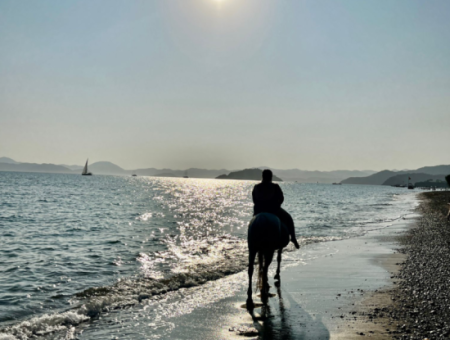 Dörtnala Giden Deniz Atları