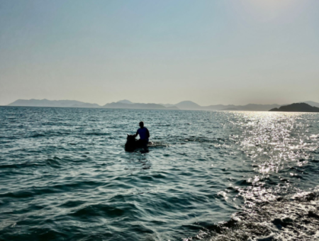 Dörtnala Giden Deniz Atları
