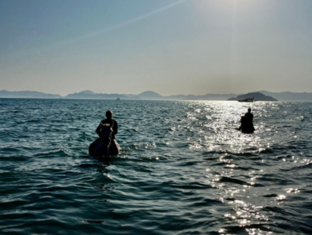 Dörtnala Giden Deniz Atları