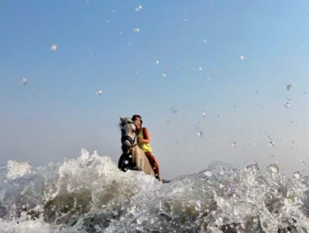 Dörtnala Giden Deniz Atları