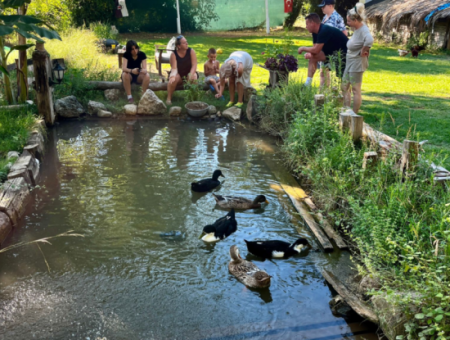 Dörtnala Giden Deniz Atları