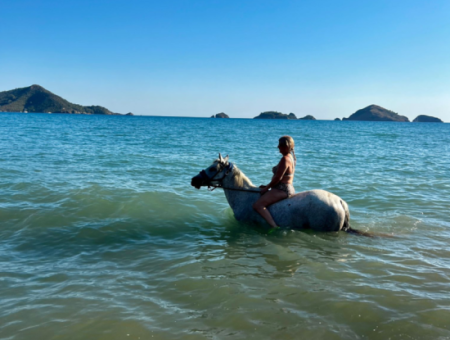 Dörtnala Giden Deniz Atları