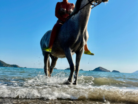 Dörtnala Giden Deniz Atları