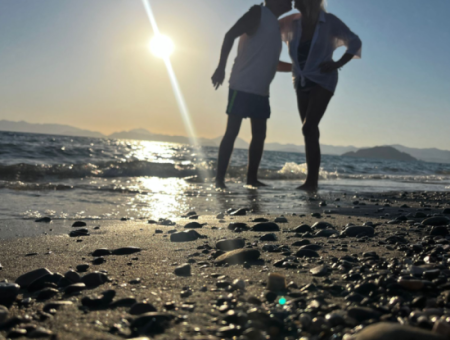 Dörtnala Giden Deniz Atları