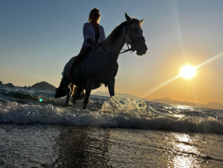 Dörtnala Giden Deniz Atları